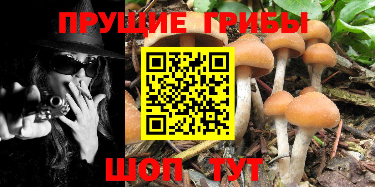 Галлюциногенные грибы MAGIC MUSHROOMS Нижний Тагил