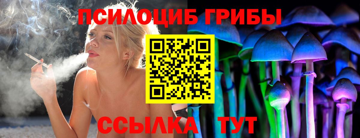 Псилоцибиновые грибы Psilocybe  Вход с VPN  купить  цена  Нижний Тагил  Галлюциногенные грибы GOLDEN TEACHER 